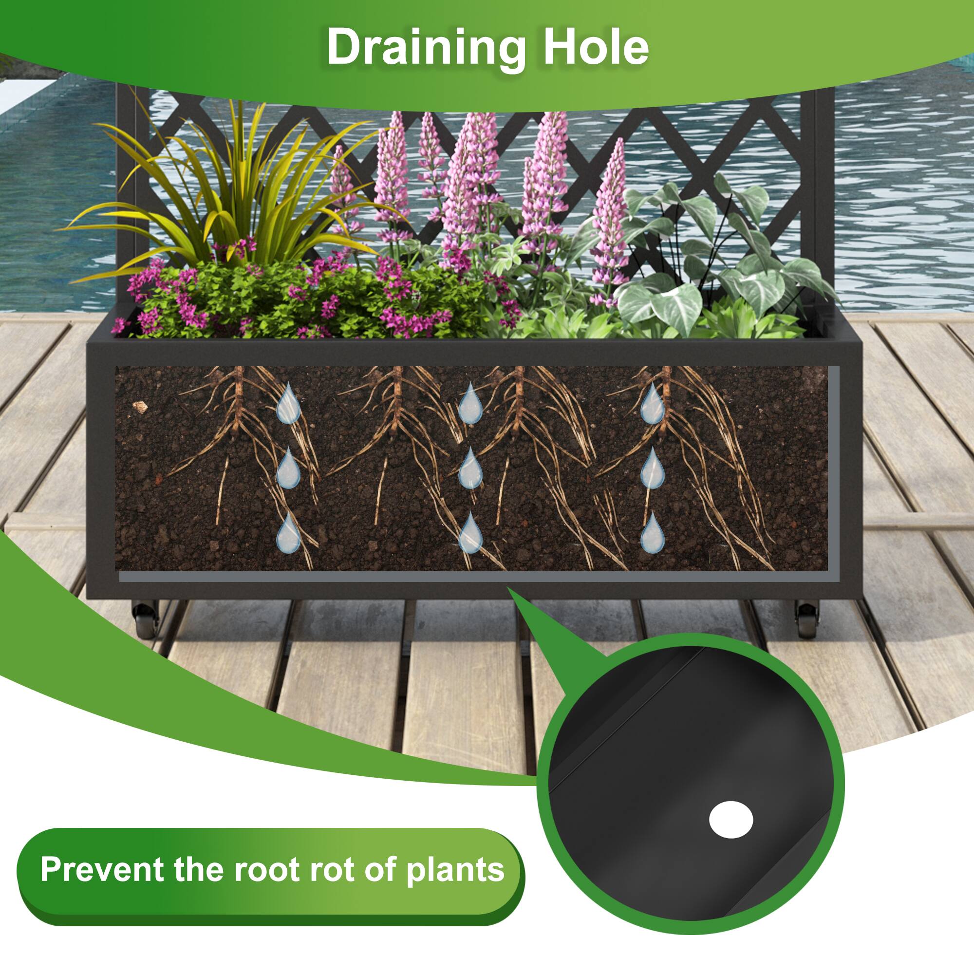 Draining Hole

Prevent the root rot of plants