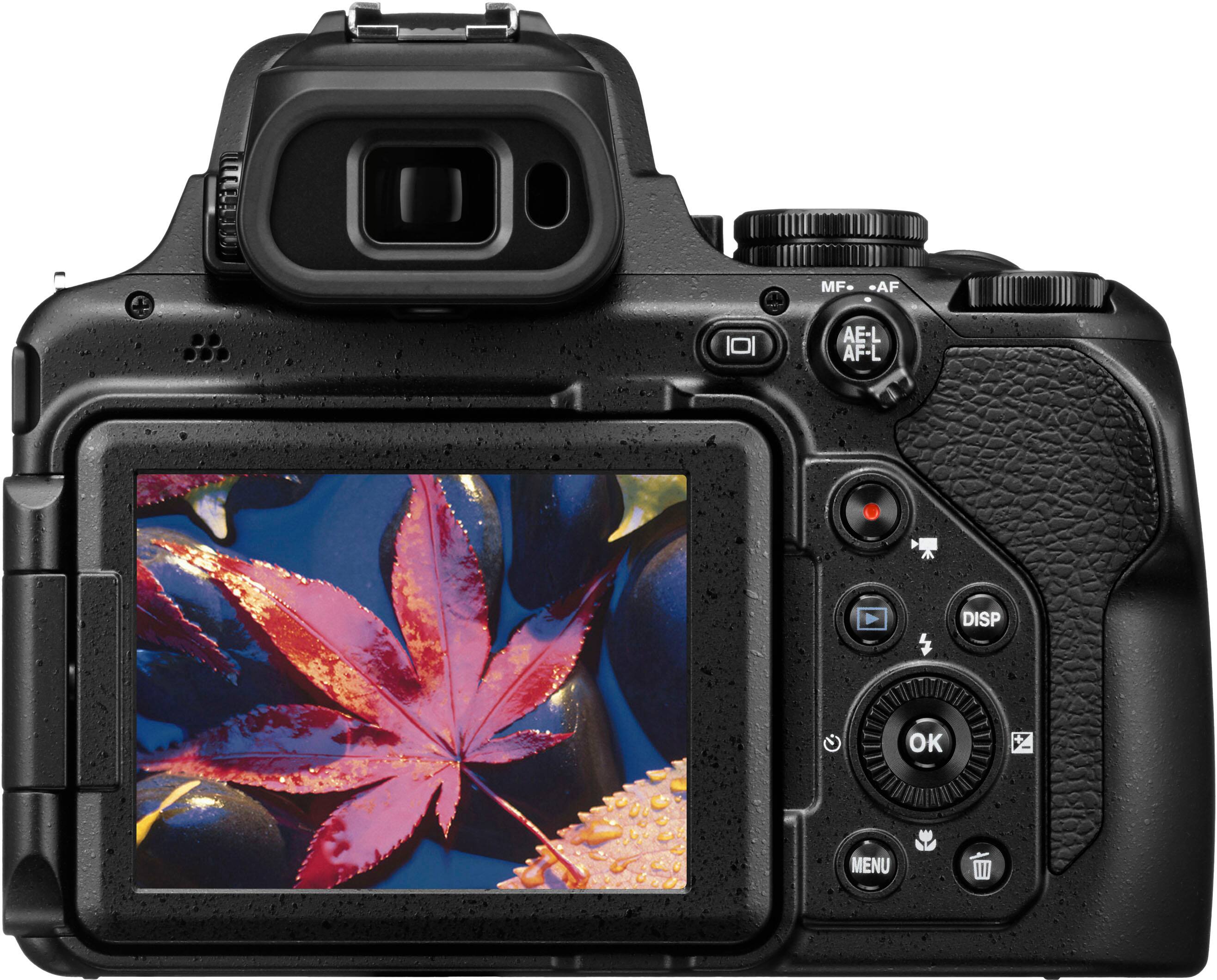 The text on the image reads "MF-AF AE-L AF-L DISP OK MENU W." This indicates that the camera is set to manual focus, automatic aperture, and automatic flash, with the display showing the image properly. The camera is ready to take a picture with the menu and settings properly adjusted.