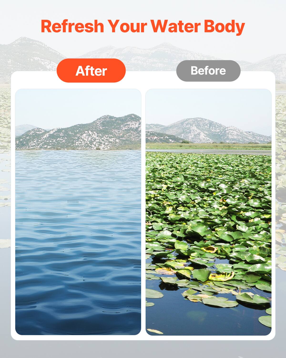 Refresh Your Water Body

After

Before