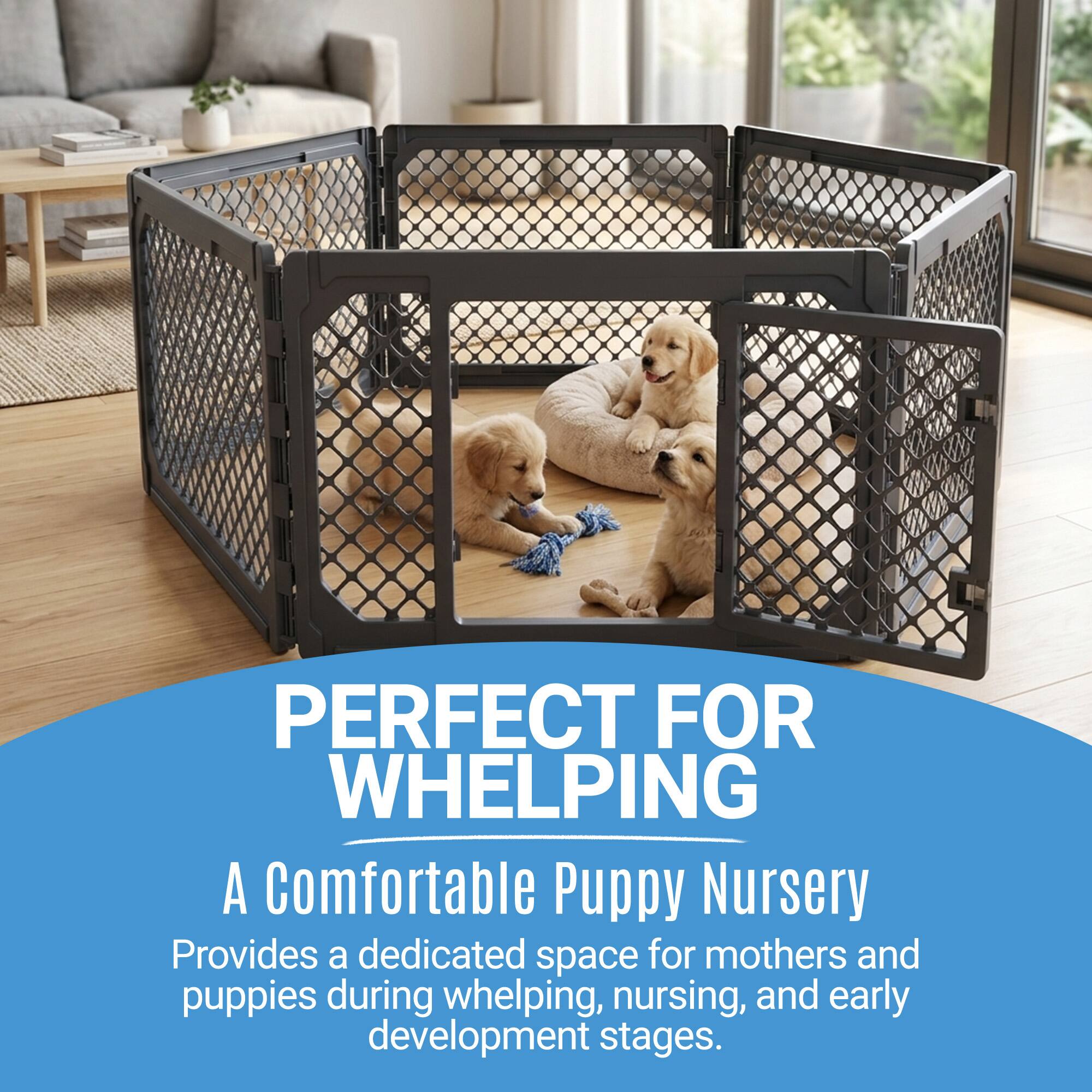 PERFECT FOR WHELPING

A Comfortable Puppy Nursery

Provides a dedicated space for mothers and puppies during whelping, nursing, and early development stages.