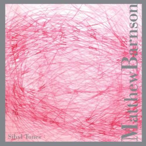Matthew Barnson - Sibyl Tones   - COMPACT DISCS [CD] price history on PriceWatchPro