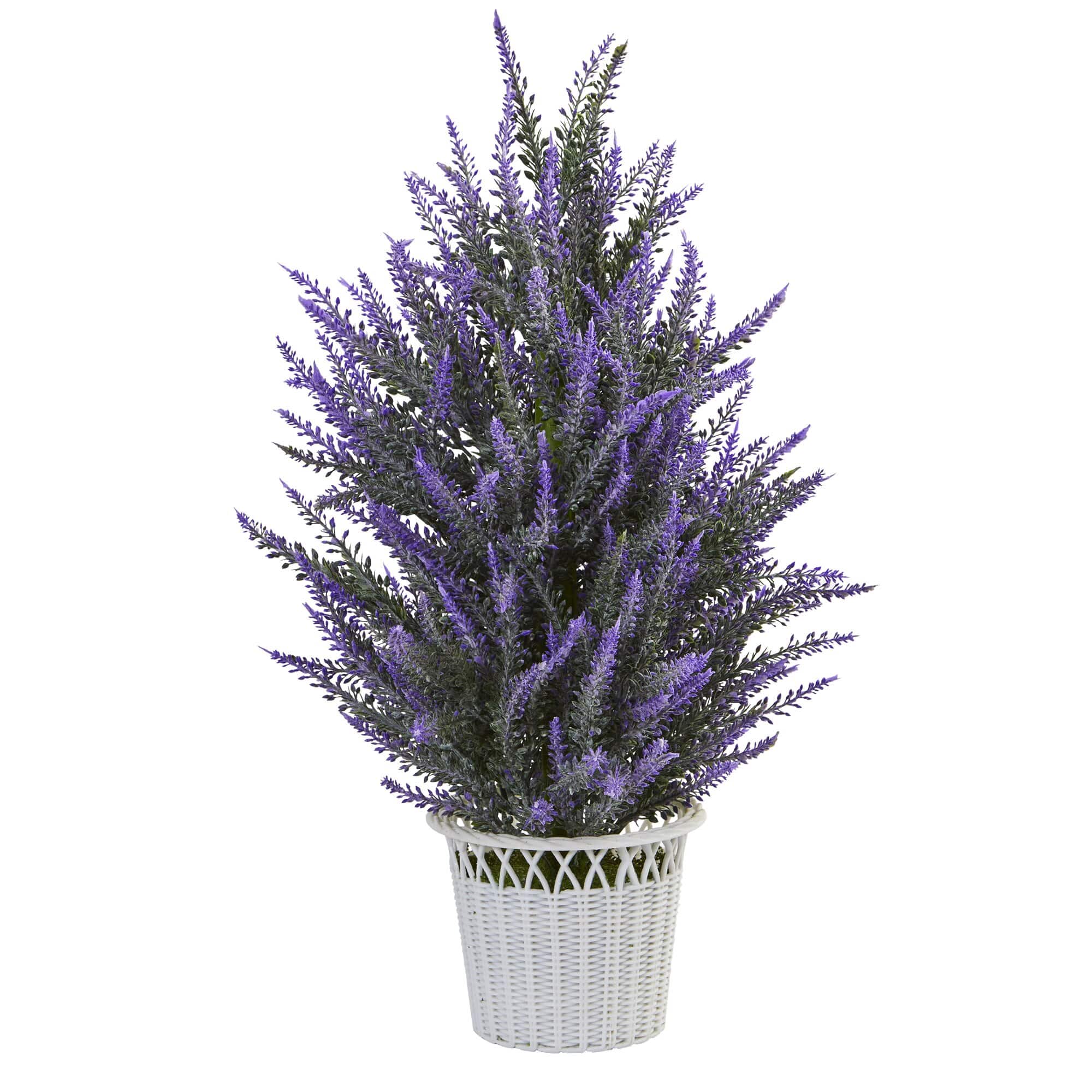 BreeBe - 22" in White Planter - Lavender