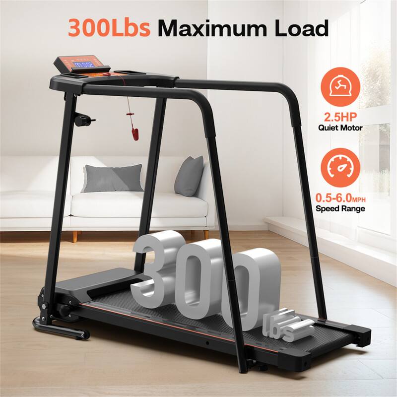 300Lbs Maximum Load  
2.5HP Quiet Motor  
0.5-6.0MPH Speed Range