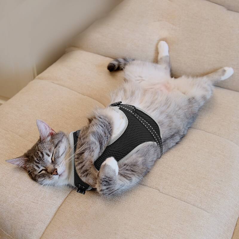Back. Supet - Cat Harness & Leash - Black.