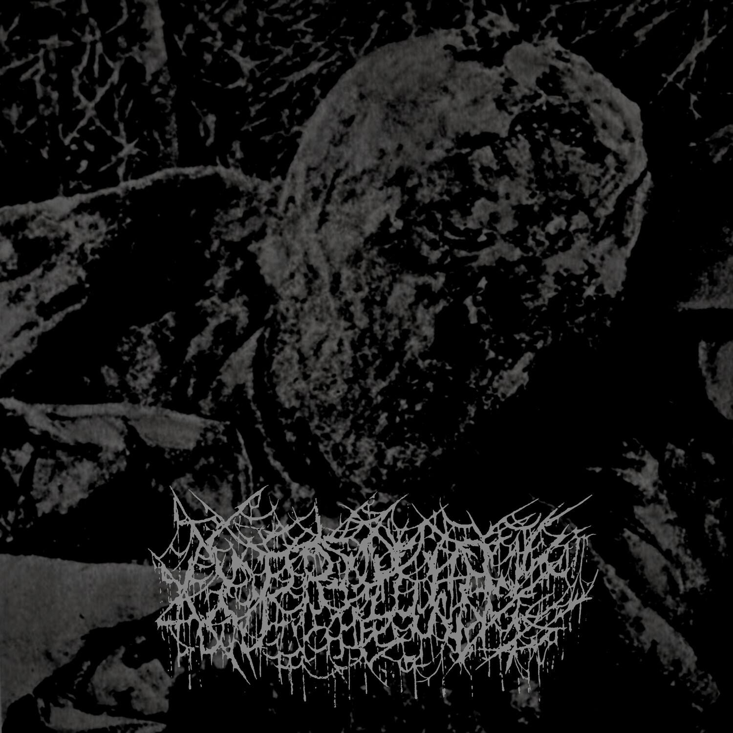Front. Coprolith - Coprolith   - VINYL LP.