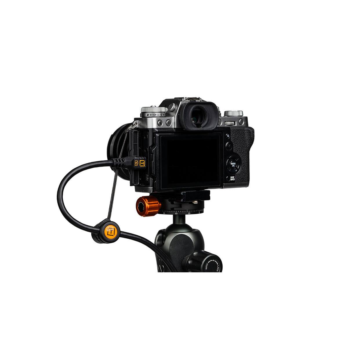 BATCHCHOUS
CK
DSP TEAL
y
66
x