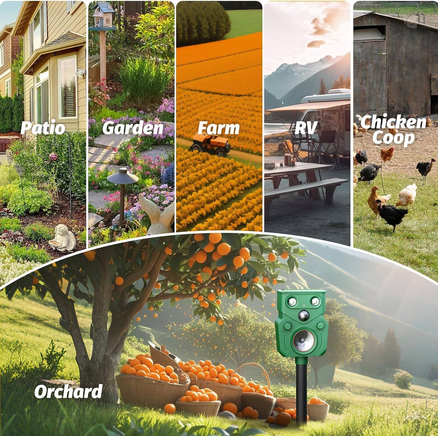 Patio  
Garden  
Farm  
RV  
Chicken Coop  
Orchard