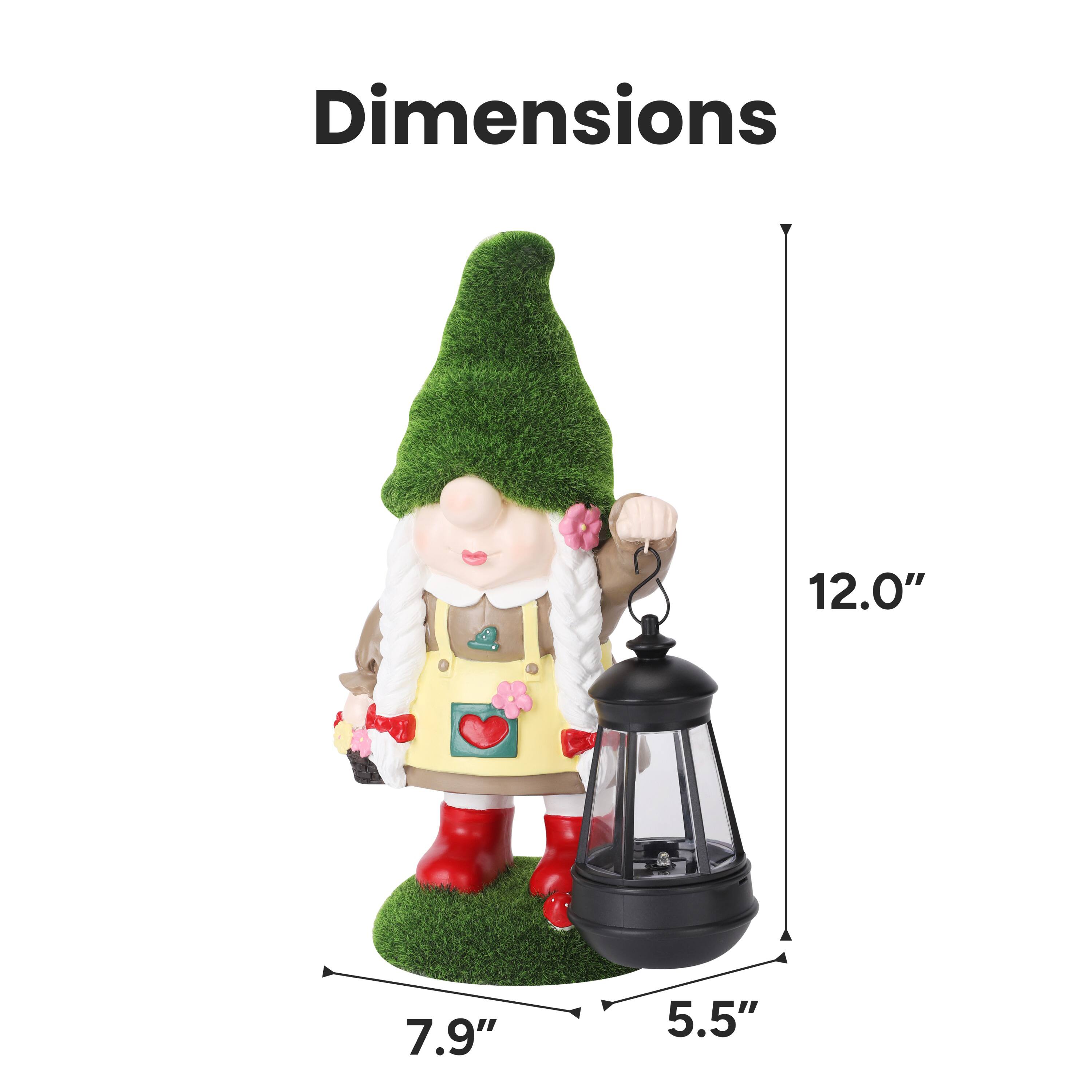 Dimensions: 12.0" x 7.9" x 5.5"