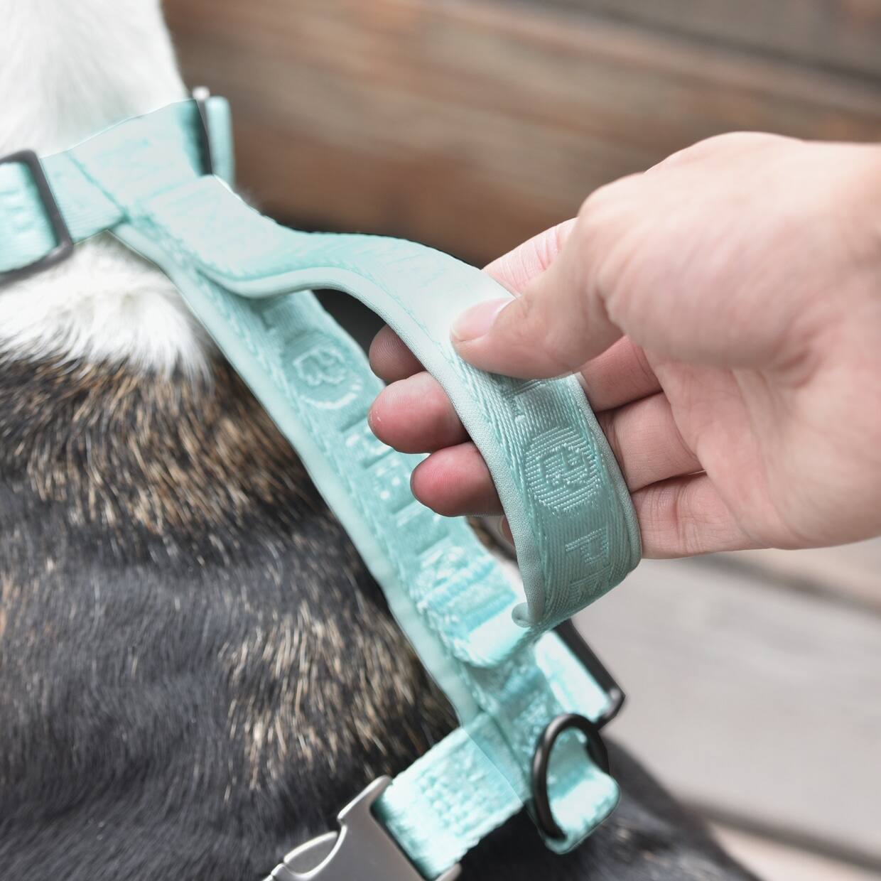 Alt View 1. PET MARVEL - PET MARVEL Adjustable Embroidered Stylish Dog Harness, Mint Green, XL - Mint Green.