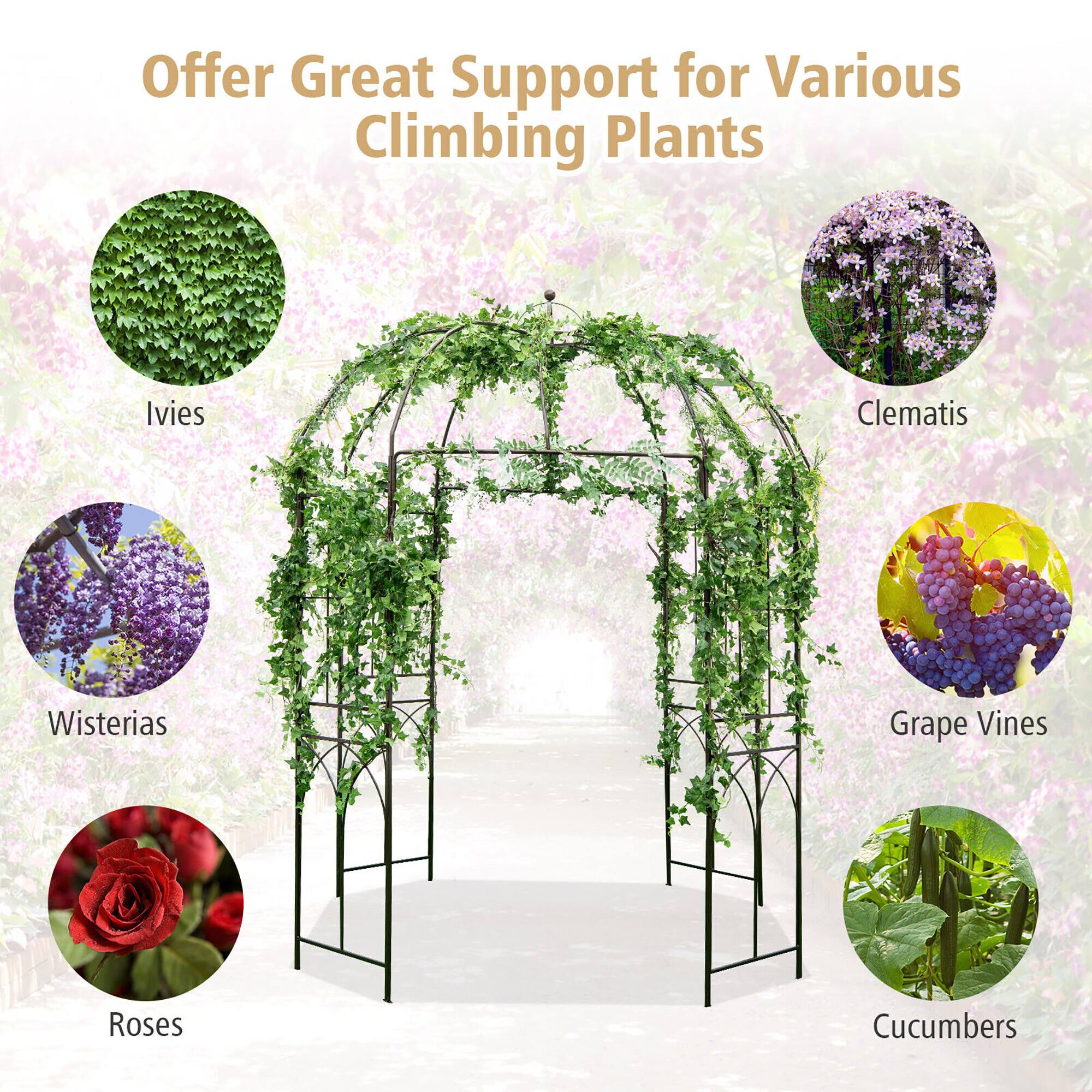 Offer Great Support for Various Climbing Plants  
Ivies  
Clematis  
Wisterias  
Grape Vines  
Roses  
Cucumbers