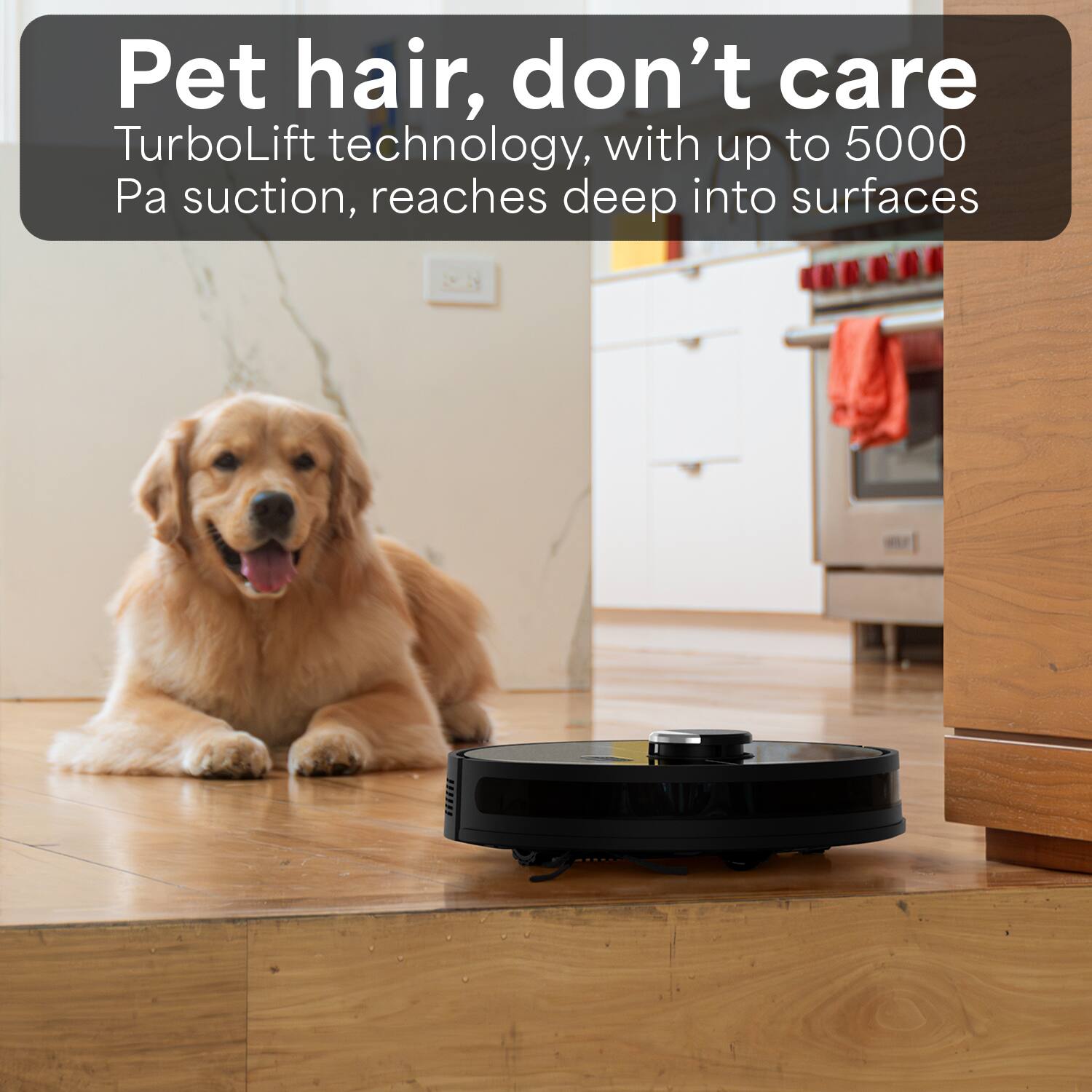 Pet hair, don't care  
TurboLift technology, with up to 5000 Pa suction, reaches deep into surfaces
