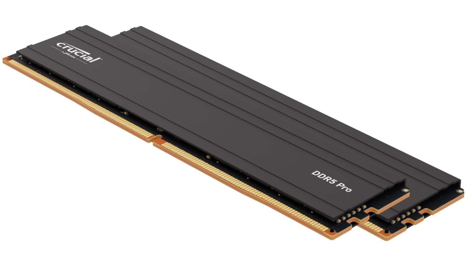 The image features a black memory module, specifically a Crucial DDR5 Pro memory stick. It is a long, rectangular object with a gold connector on one end. The memory stick is placed on a white background, making it stand out prominently.