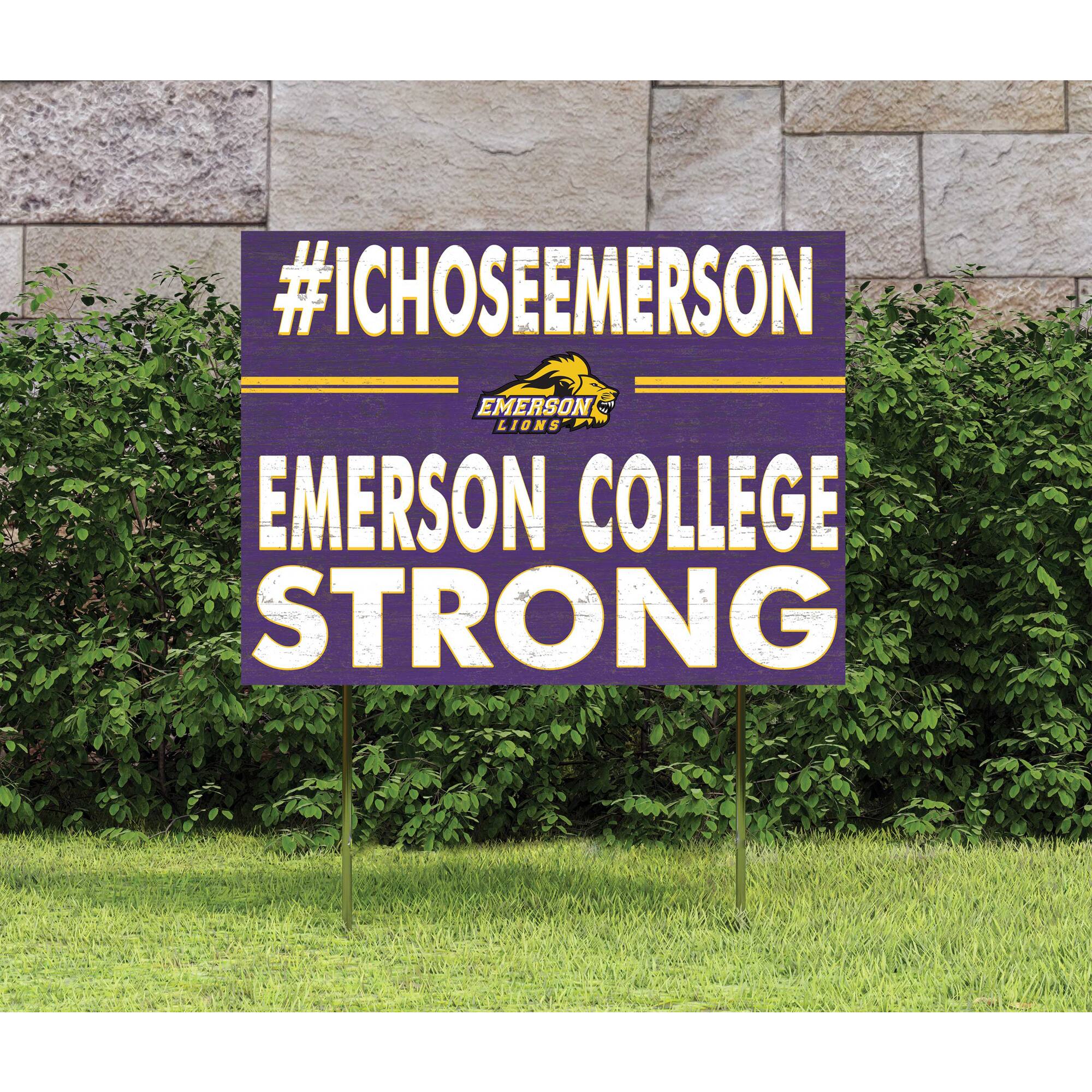 #ICHOOSEEMERSON  
EMERSON COLLEGE  
STRONG
