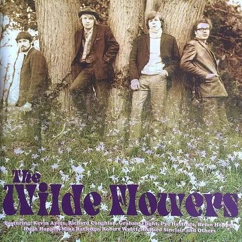 The Wilde Flowers [LP] [VINYL] price history on PriceWatchPro