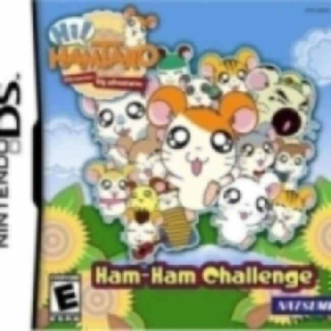 Hi! Hamtaro: Ham-Ham Challenge - Nintendo DS - Nintendo DS