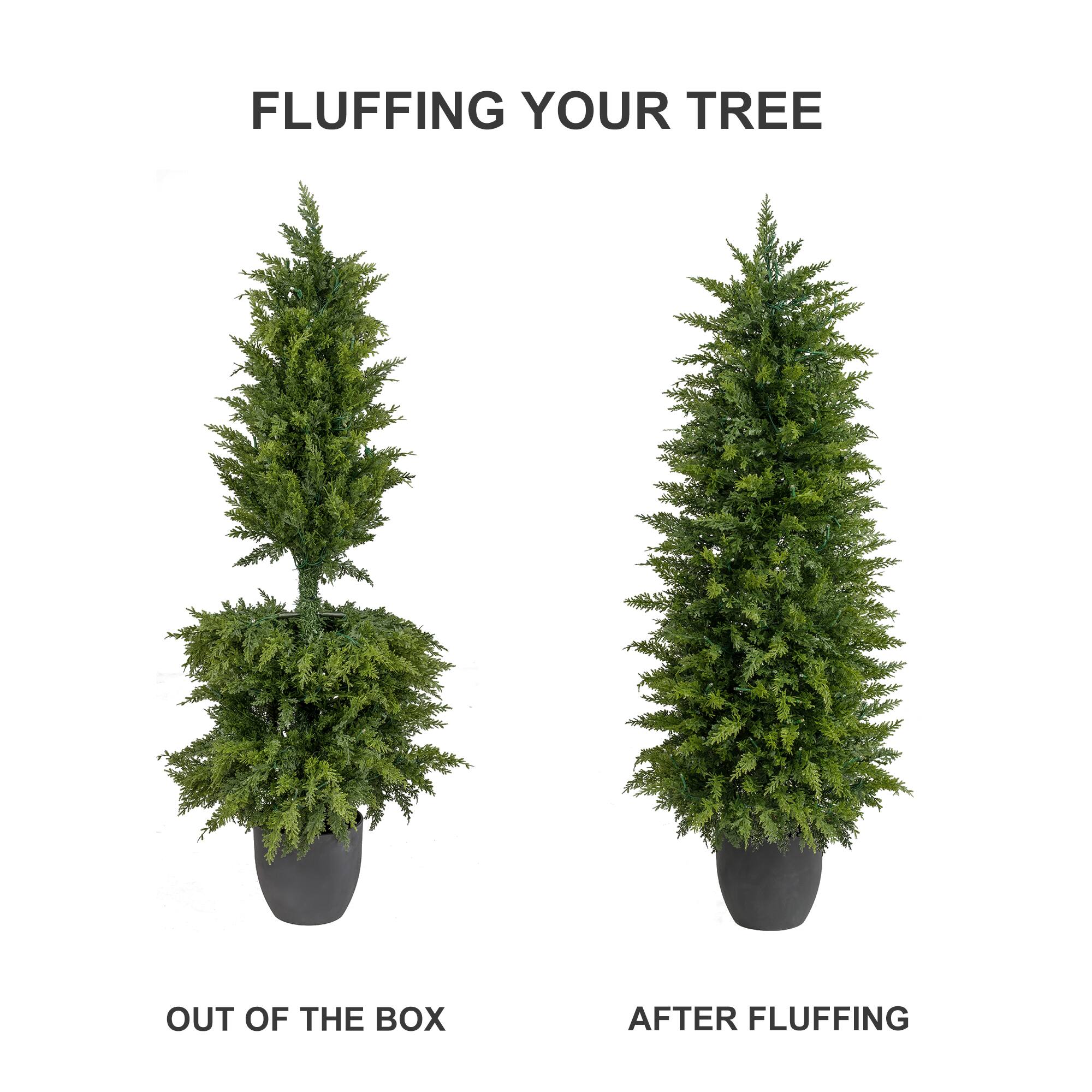 FLUFFING YOUR TREE

OUT OF THE BOX

AFTER FLUFFING
