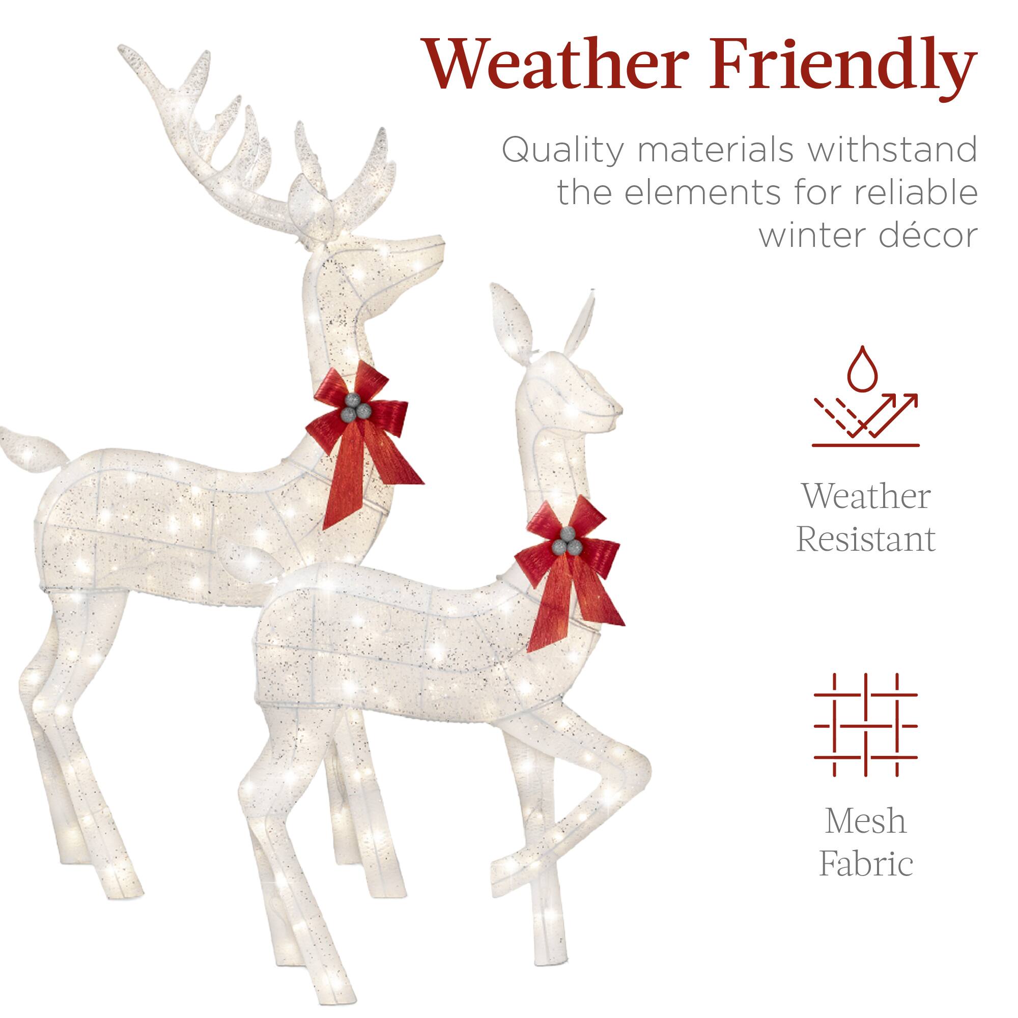 Weather Friendly

Quality materials withstand the elements for reliable winter décor

Weather Resistant

Mesh Fabric
