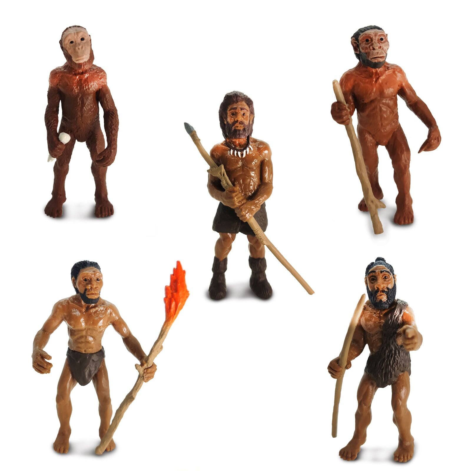 Angle. Safari Ltd. - Evolution Of Man Toy.