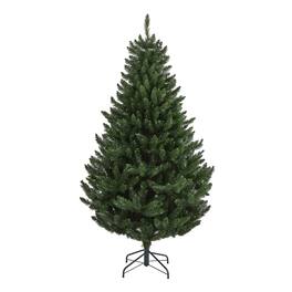 BreeBe - 6’ Northern Rocky Spruce Xmas Tree with 838 Tps - Green