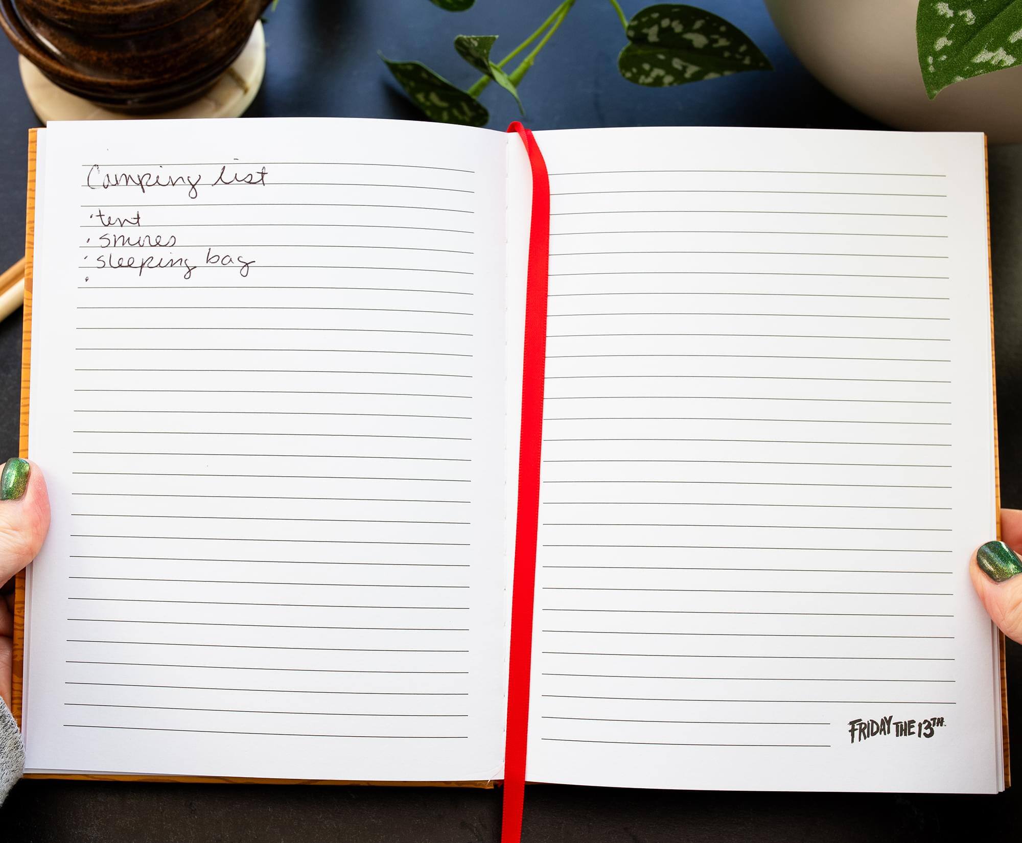 Camping list  
- tent  
- sleeping bag  
- sleeping bag  

FRIDAY THE 13TH