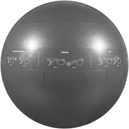 GoFit - Pro Grade Stability Guide Ball 75cm with Pump - Silver