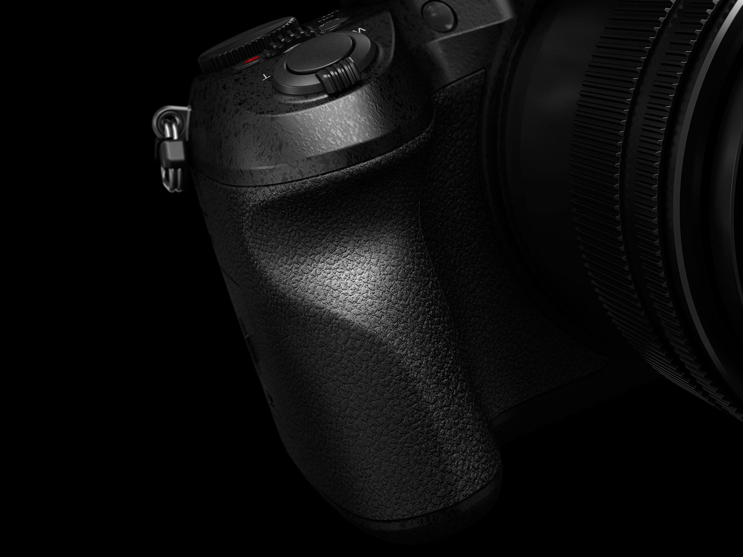 Alt View 5. Panasonic - Panasonic Lumix DMC-FZ2500 Digital Camera - Black.