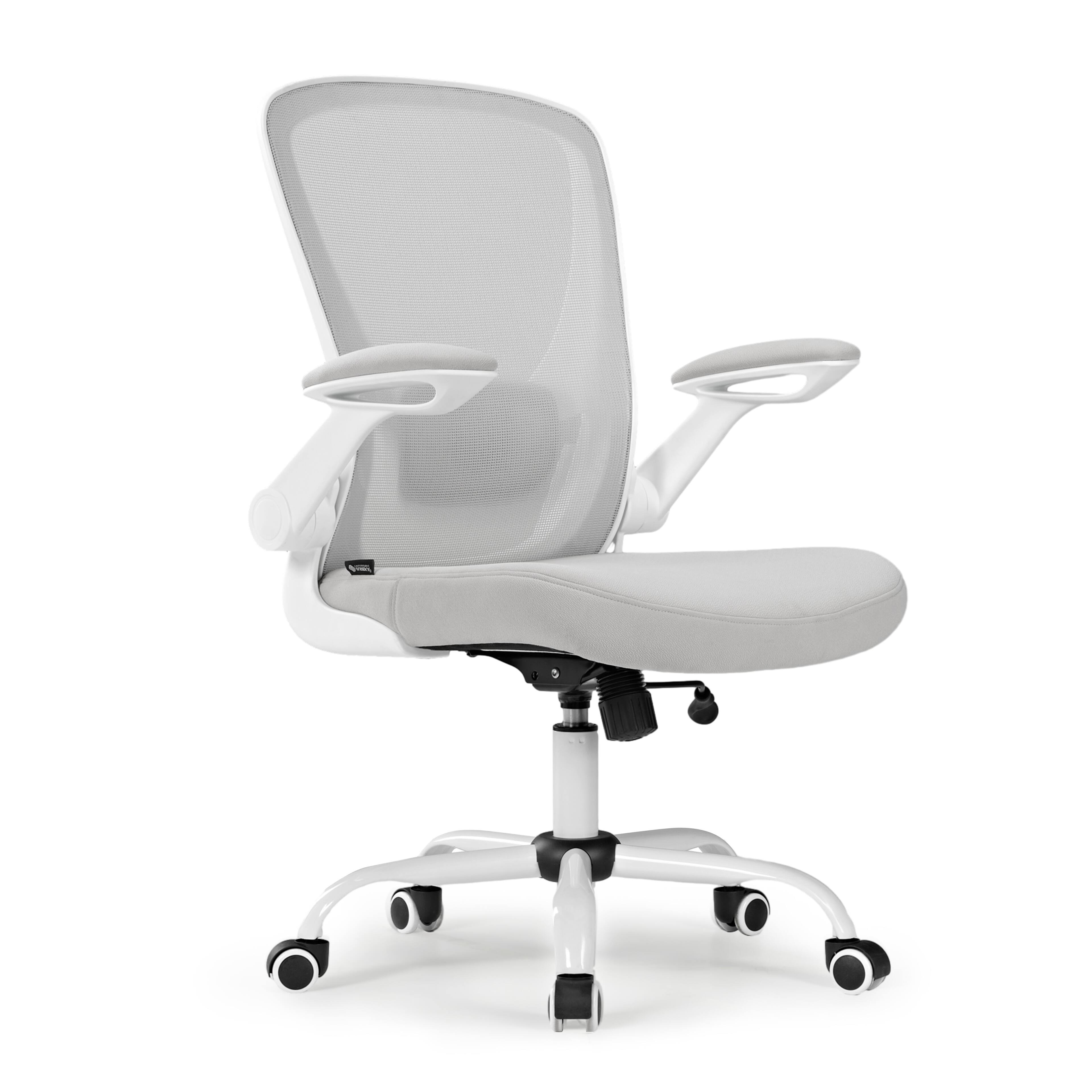 Back. Eureka Ergonomic - Ergonomic Mesh Office Chair with Adjustable Lumbar Support - Grey.