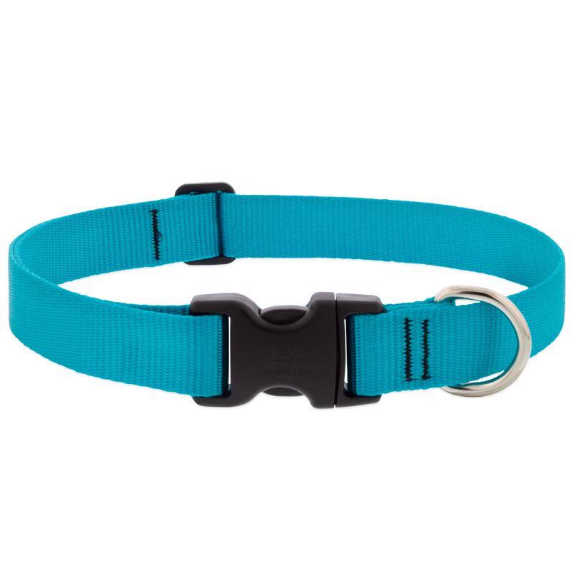 Angle. LupinePet - LupinePet Aqua Nylon Dog Adjustable Collar Large/X-Large - Aqua.