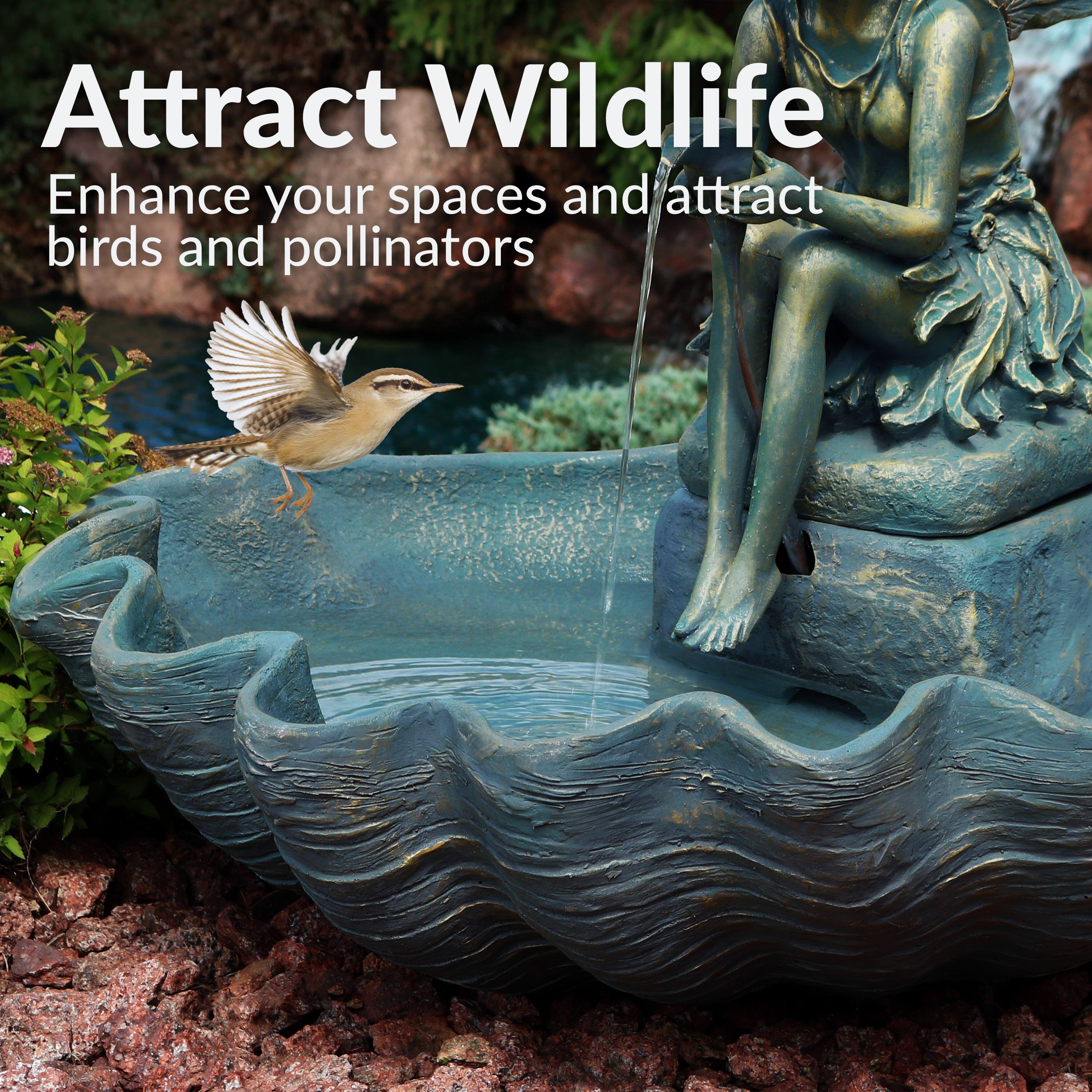 Attract Wildlife  
Enhance your spaces and attract birds and pollinators