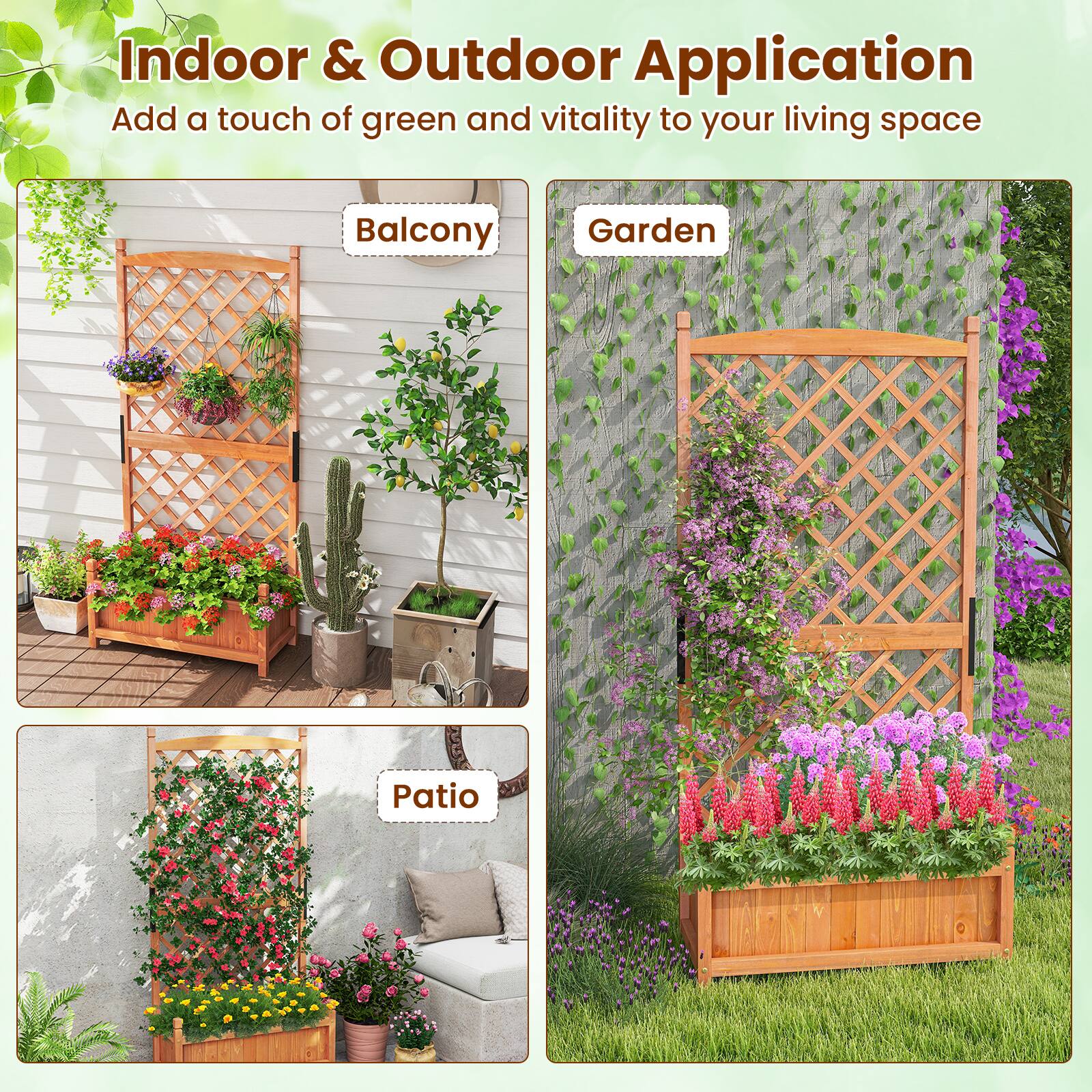 Indoor & Outdoor Application  
Add a touch of green and vitality to your living space  

Balcony  
Garden  
Patio