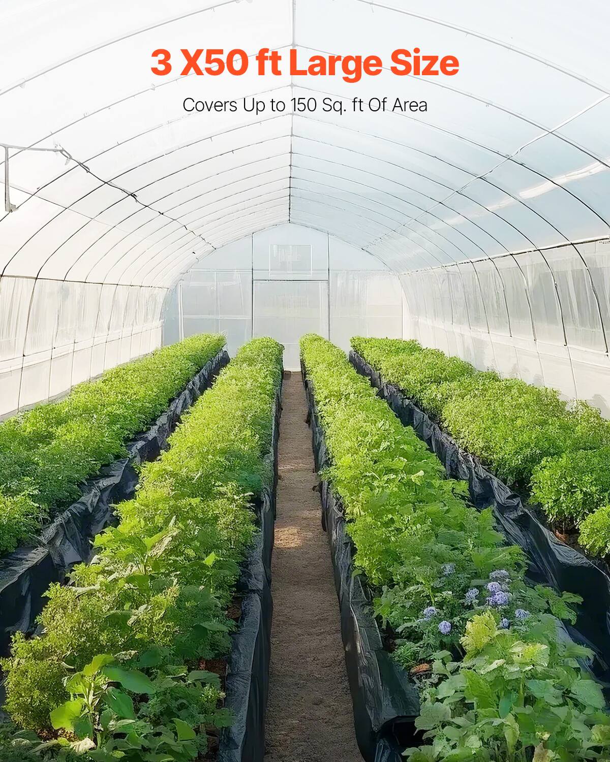 3 X50 ft Large Size

Covers Up to 150 Sq. ft Of Area