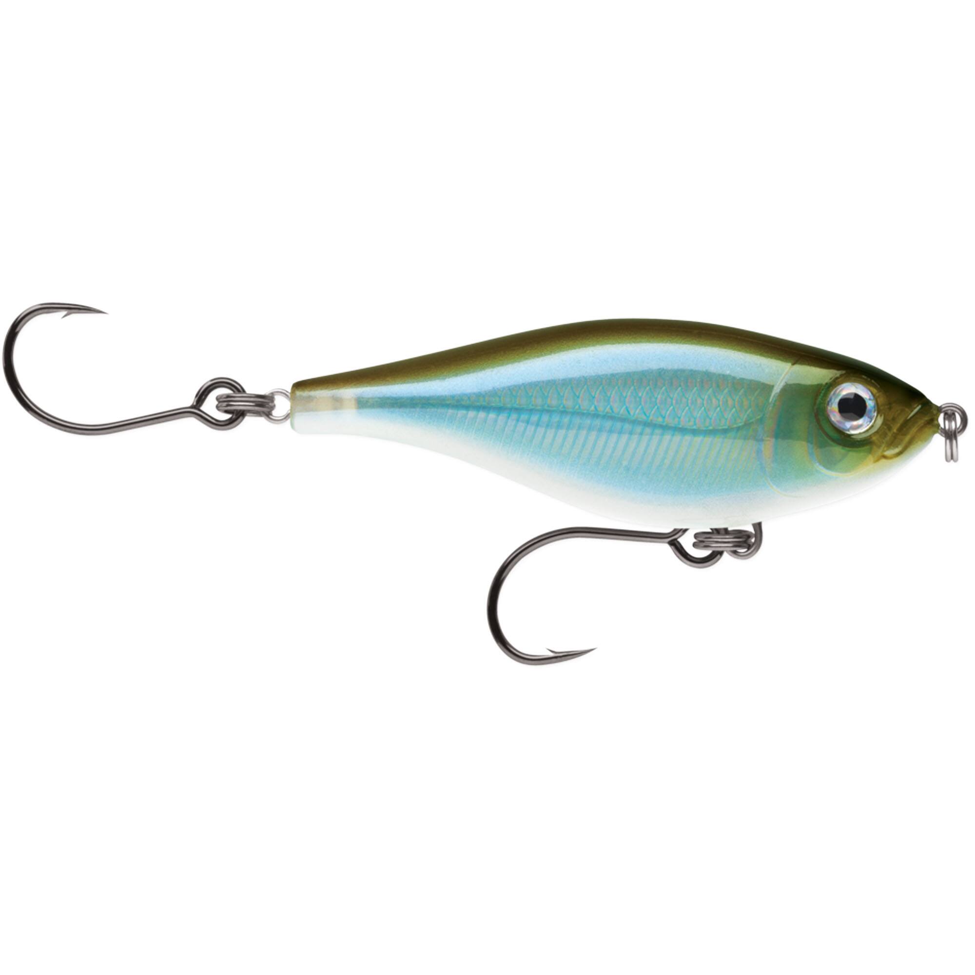 Moss Back Shiner