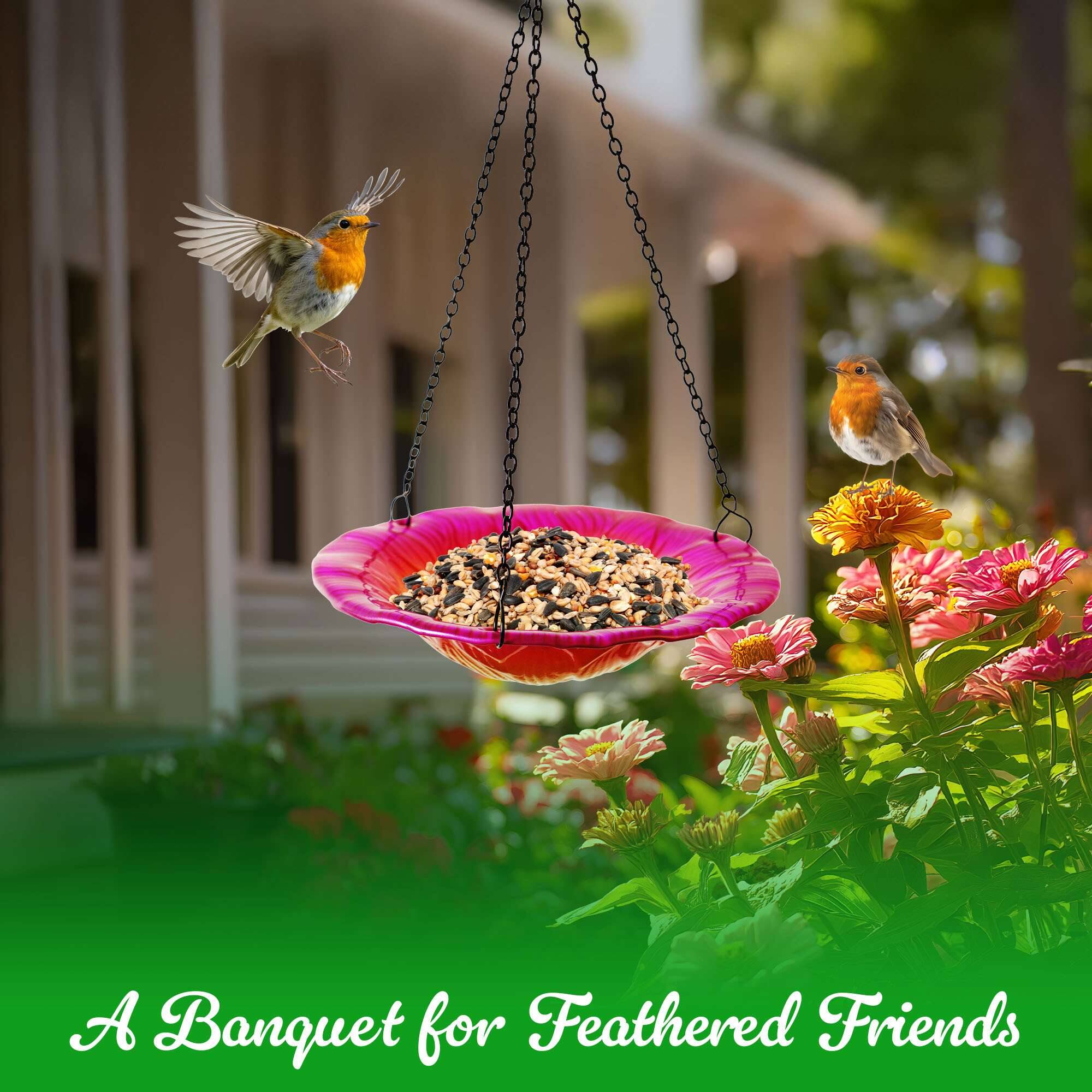A Banquet for Feathered Friends