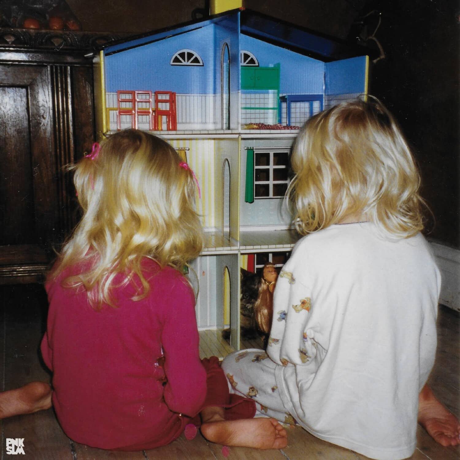 7Ebra - Bird Hour  - COMPACT DISCS