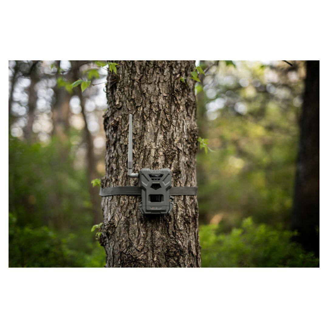 Left. Spypoint - SPYPOINT Flex-M Twin Pack Cellular Trail Camera(2) with 32GB Cards(4) and Reader.