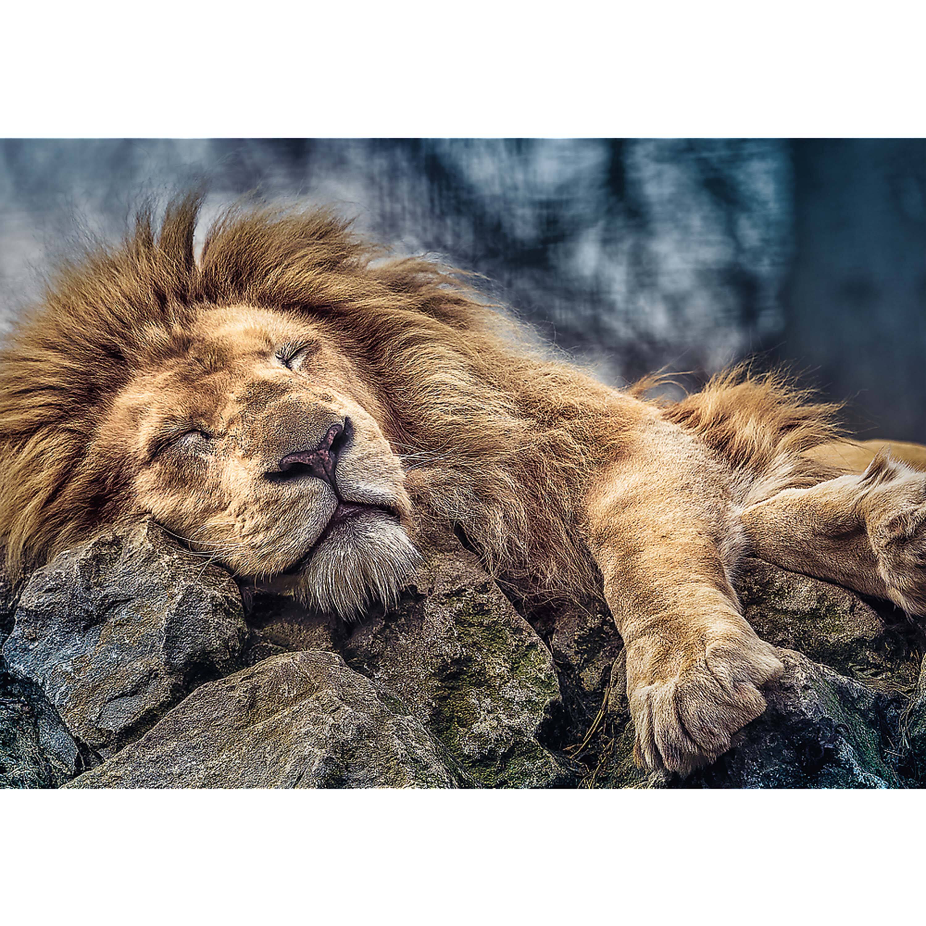 Alt View 1. Trefl - Trefl Red 1000 Piece Puzzle - Sleeping lion.