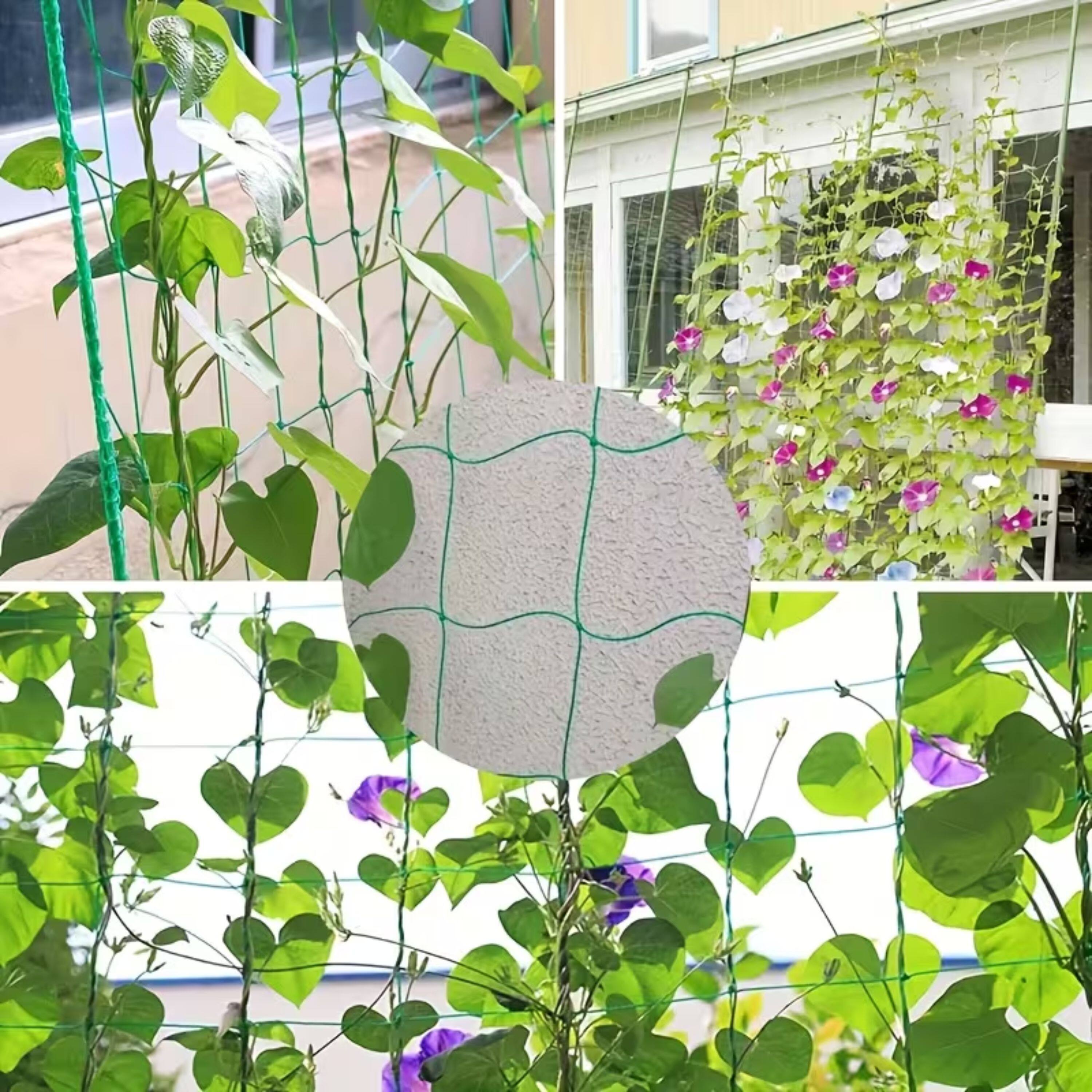 Left. Kitcheniva - Trellis Netting for Climbing Plants (6x12 Ft) - Perfect for Tomatoes, Peas, Cucumbers, Grapes.
