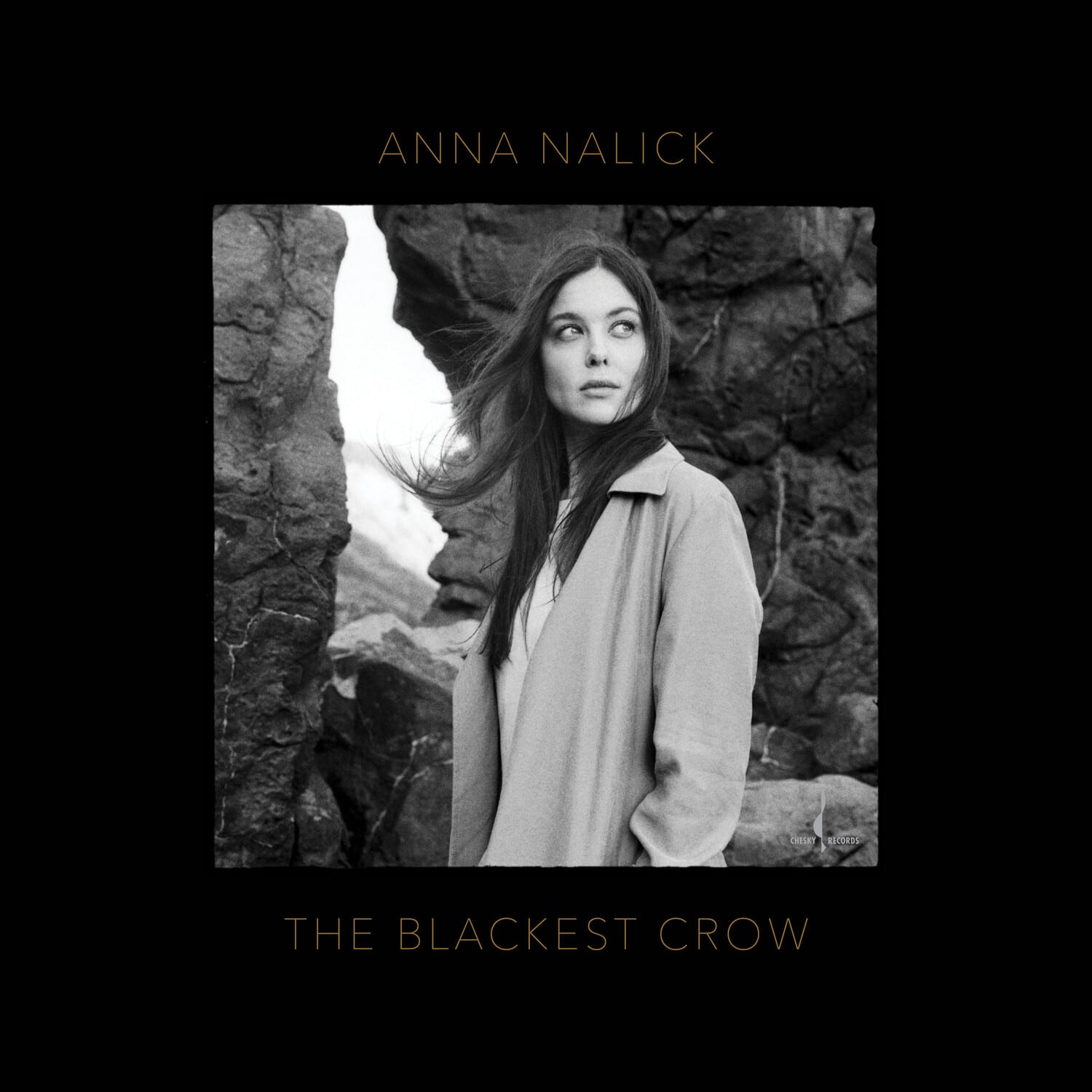 Anna Nalick - The Blackest Crow   - COMPACT DISCS [CD] price history on PriceWatchPro