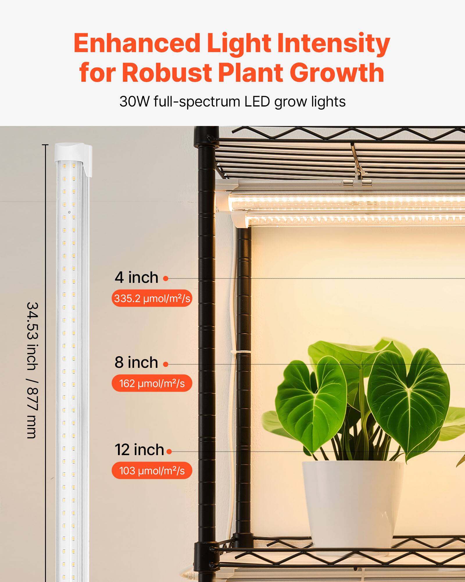 Enhanced Light Intensity for Robust Plant Growth  
30W full-spectrum LED grow lights  

34.53 inch / 877 mm  

4 inch - 335.2 μmol/m²/s  
8 inch - 162 μmol/m²/s  
12 inch - 103 μmol/m²/s