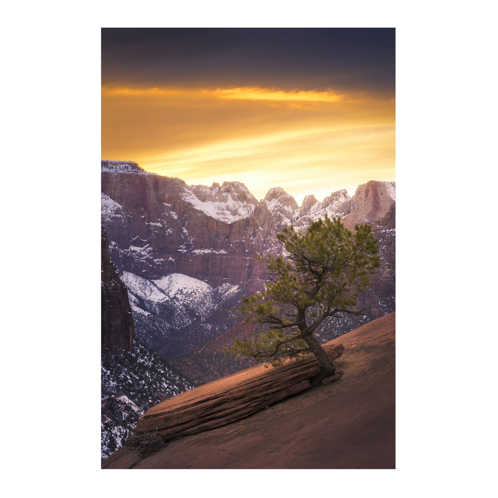 Left. Nikon - Nikon Z8 Mirrorless Camera with 24-120mm f/4 Lens and FTZ II Adapter Kit - Black.