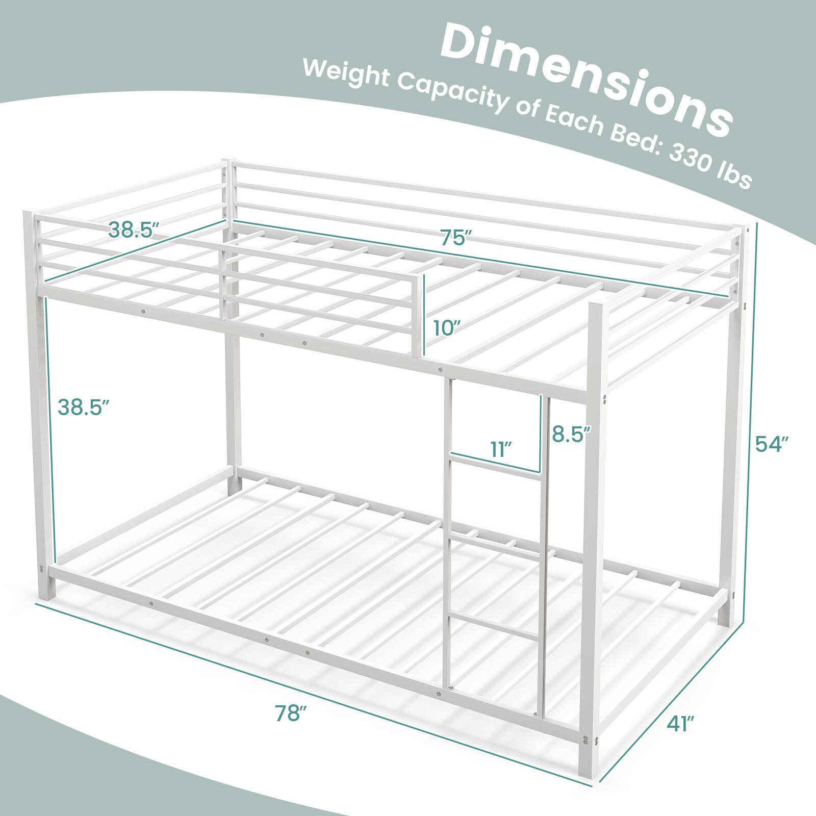 Weight Capacity of Each Bed: 330 lbs

Dimensions:
- 75" x 38.5" x 10"
- 78" x 38.5" x 11" x 8.5" x 54" x 41"