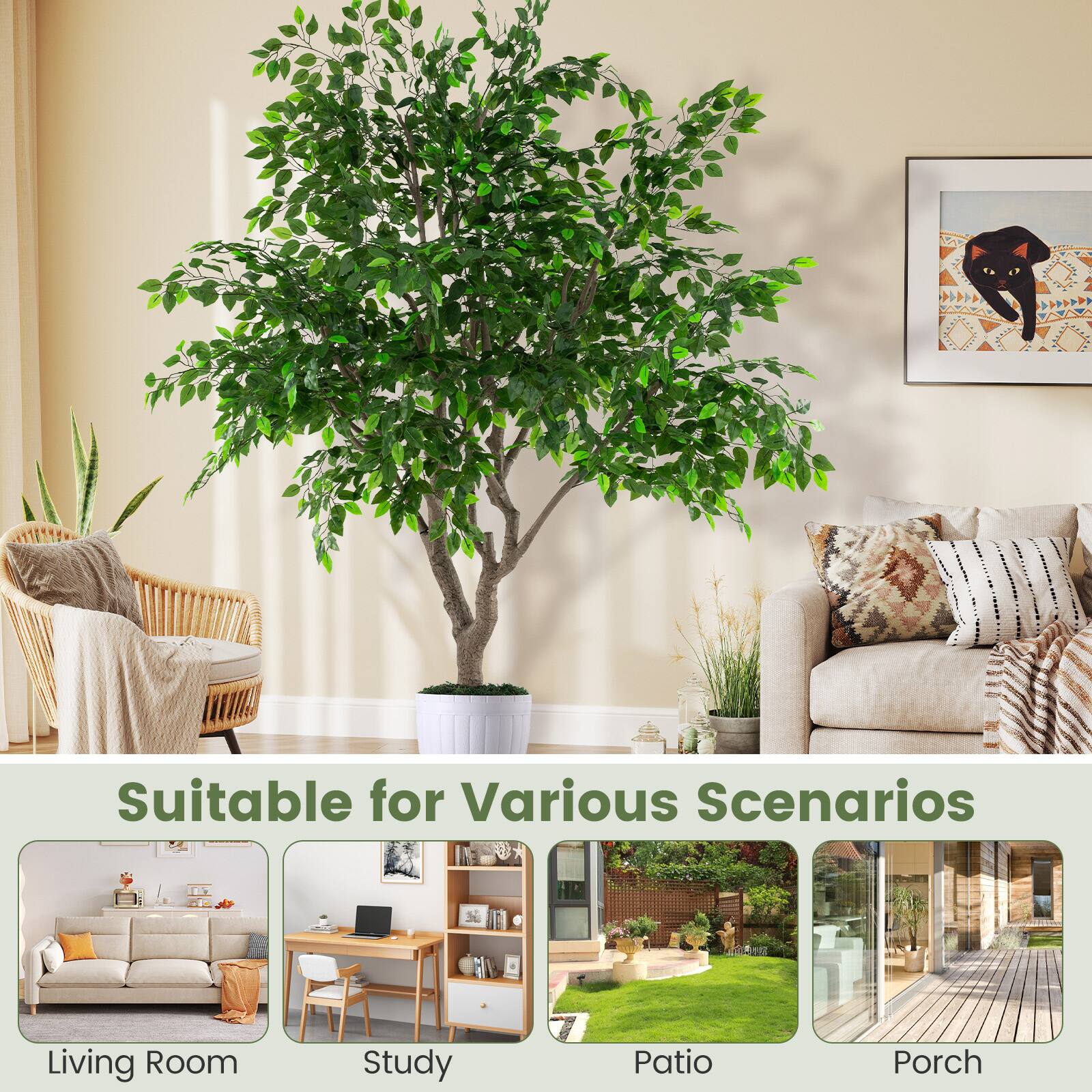 Suitable for Various Scenarios

Living Room  
Study  
Patio  
Porch