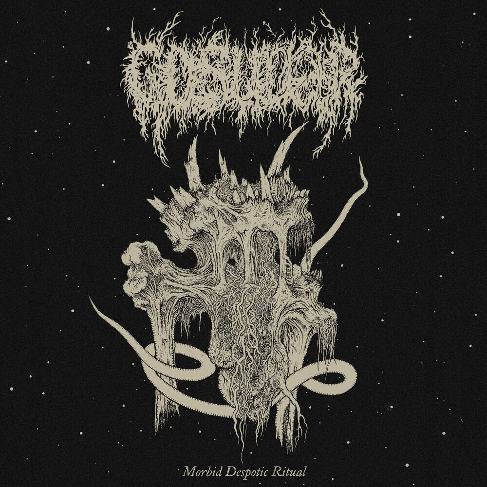 Front. Morbid Despotic Ritual [LP].