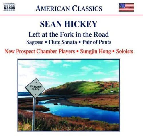 New Prospect Chamber Players - Left at the Fork in the Road  - COMPACT DISCS