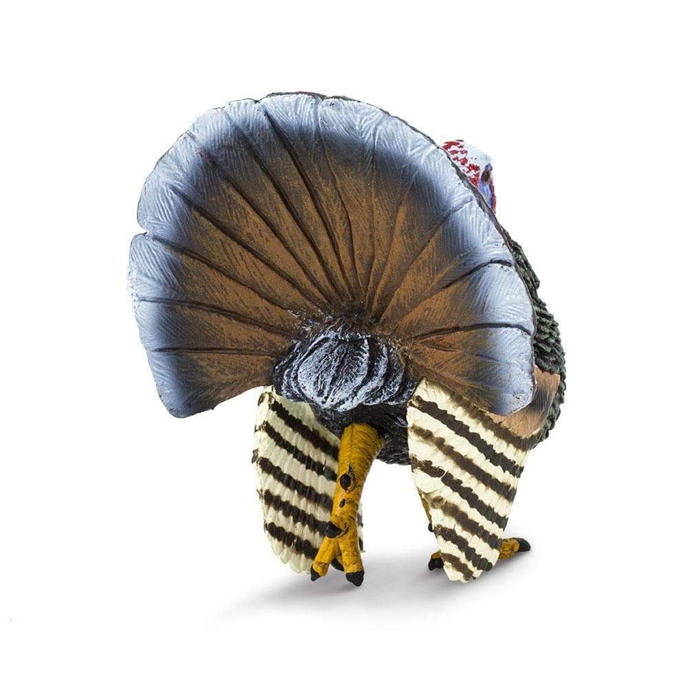 Back. Safari Ltd. - Turkey.