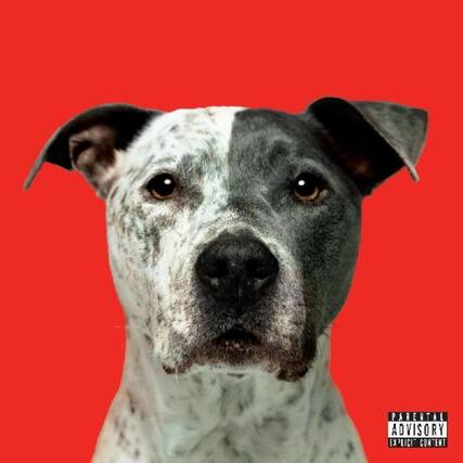 PARENTAL ADVISORY
EXPLICIT CONTENT