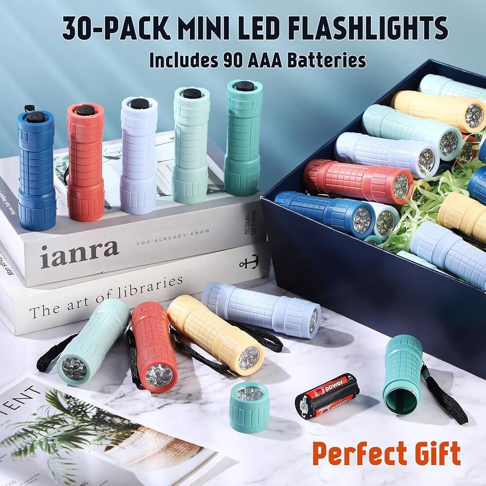 30-PACK MINI LED FLASHLIGHTS  
Includes 90 AAA Batteries  

Perfect Gift