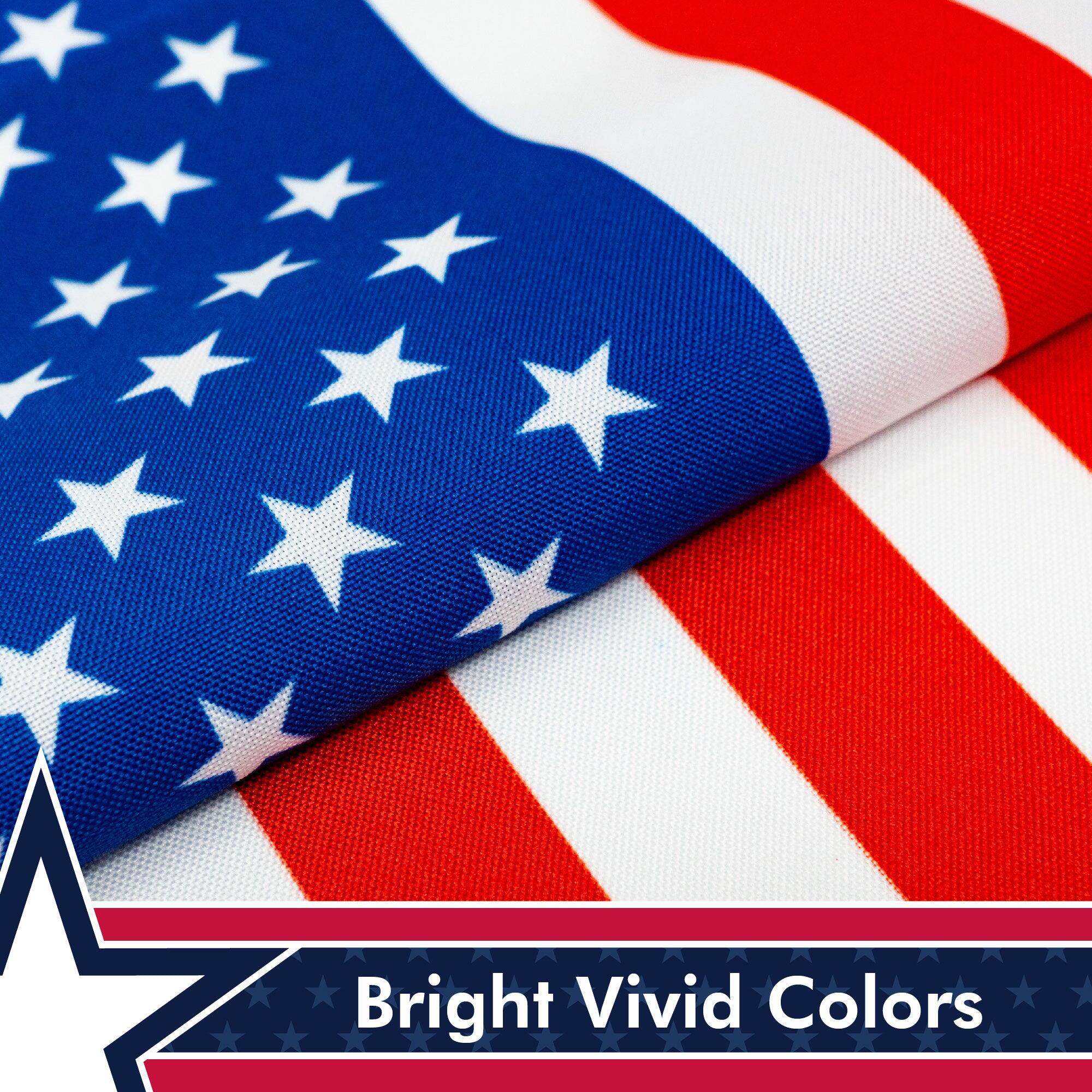 Bright Vivid Colors