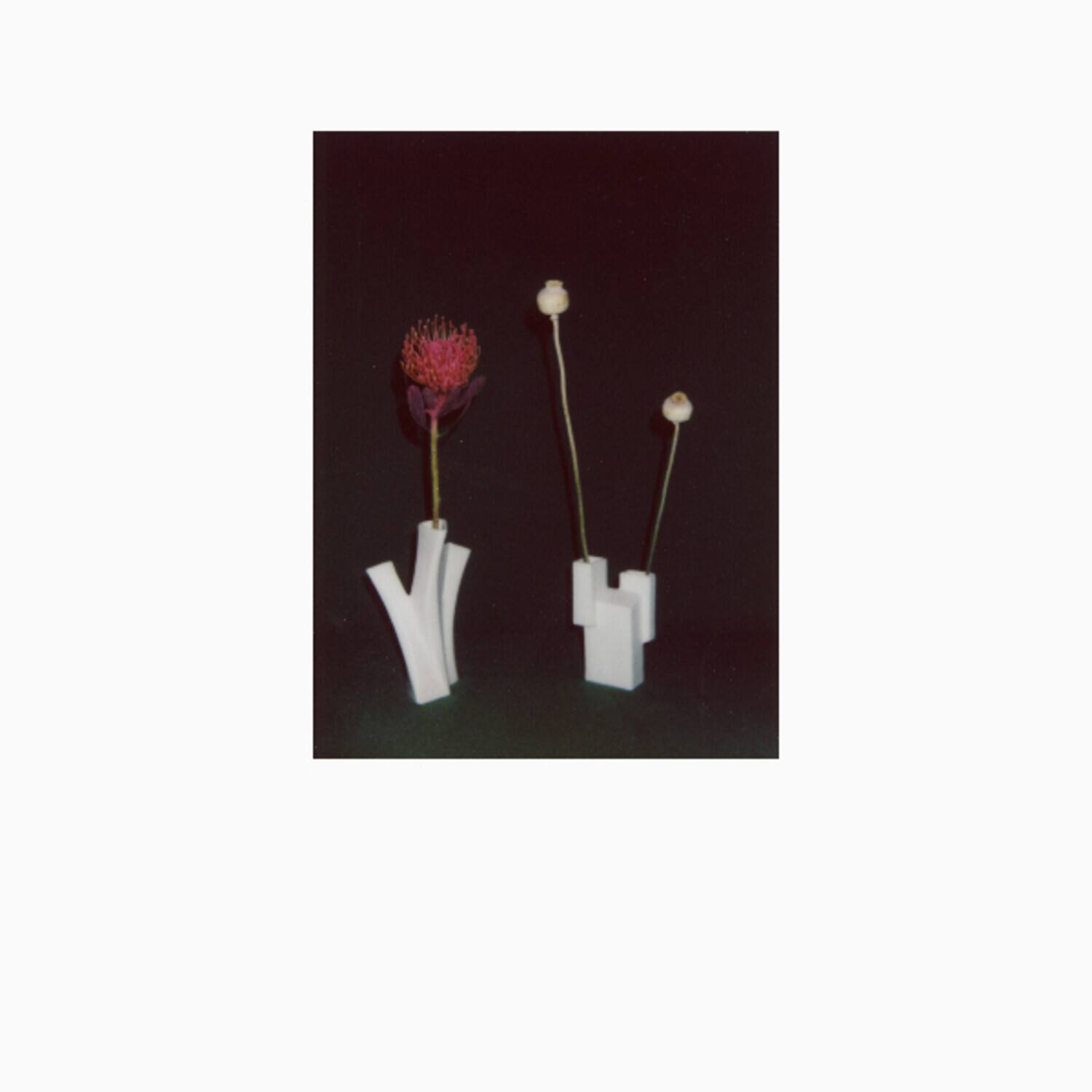 Felicia Atkinson - Flower & Vessel   - COMPACT DISCS [CD] price history on PriceWatchPro