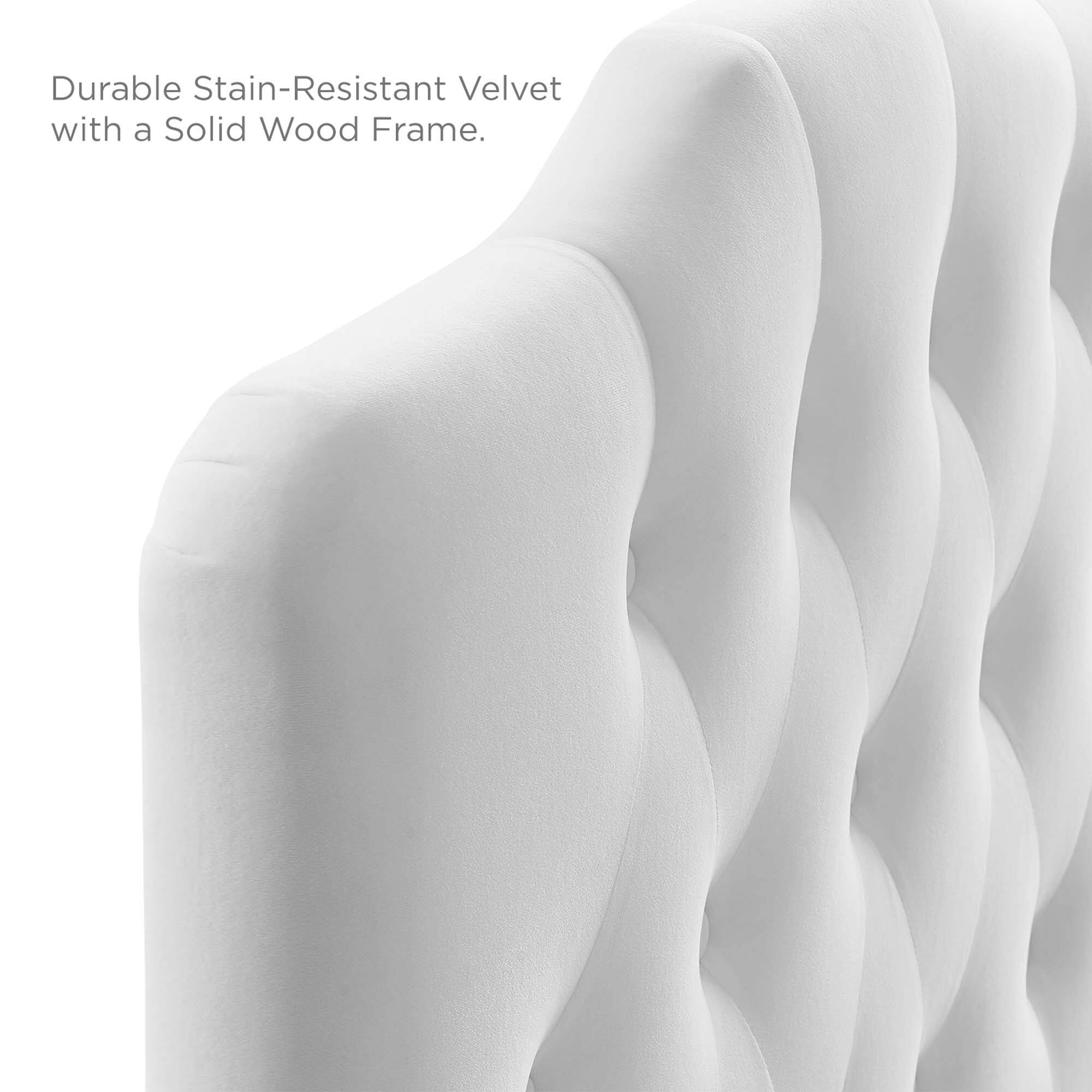 Durable Stain-Resistant Velvet with a Solid Wood Frame.